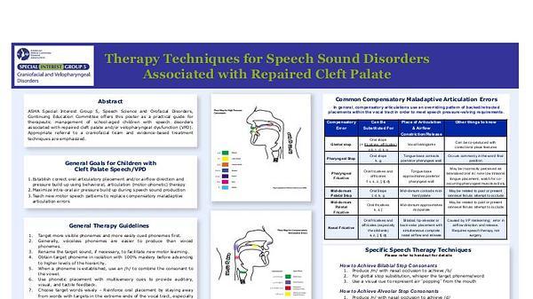 Therapy Techniques for Speech Sound Disorders Associated with Repaired Cleft Palate