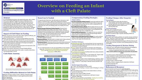 Overview on Feeding an Infant with a Cleft Palate