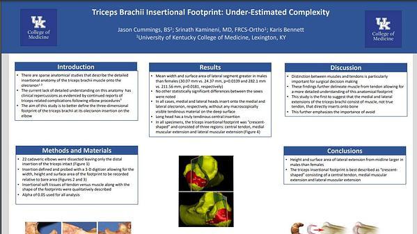 Triceps Brachii Insertional Footprint: Under-estimated Complexity