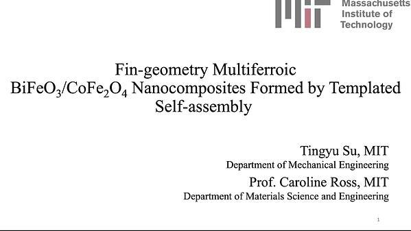 Fin geometry Multiferroic BiFeO3/CoFe2O4 Nanocomposites formed by templated self