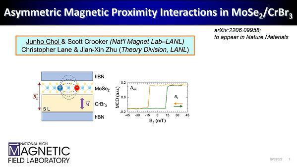 Asymmetric Magnetic Proximity Interactions in Ferromagnet/Semiconductor van der Waals Heterostructures