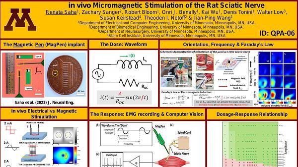In vivo Micromagnetic Stimulation of the Rat Sciatic Nerve