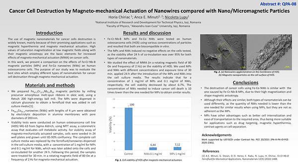 Cancer cell destruction by magneto mechanical actuation of nanowires compared with nano/micromagnetic particles