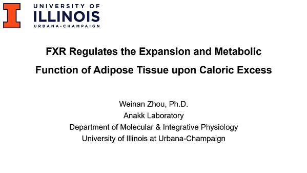 FXR Regulates the Expansion and Metabolic Function of Adipose Tissue upon Caloric Excess