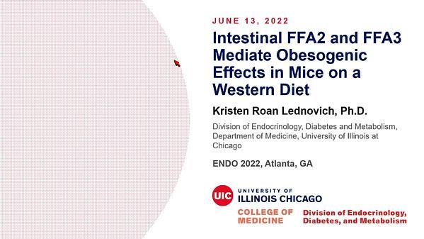 Intestinal FFA2 and FFA3 Mediate Obesogenic Effects in Mice on a Western Diet