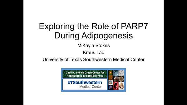 Exploring the Role of PARP7 in Adipogenesis