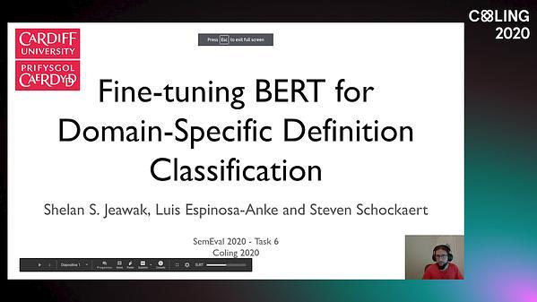 Fine-tuning BERT for Domain-Specific Definition Classification