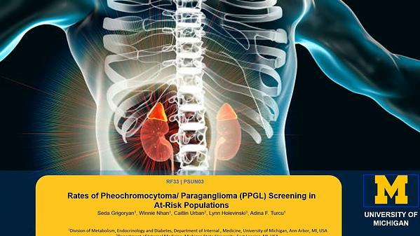 Rates of Pheochromocytoma/Paraganglioma Screening in At-Risk Populations