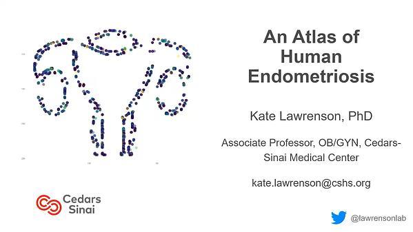 The Hormonal Impact on Endometriosis – the Unseen Disease of Reproduction - A cellular and molecular portrait of endometriosis subtypes