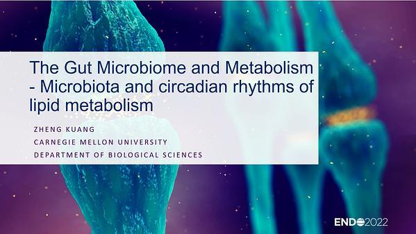 The Gut Microbiome and Metabolism - Microbiota and circadian rhythms of lipid metabolism