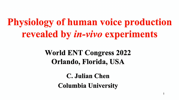 Physiology of human voice production revealed by in-vivo experiments
