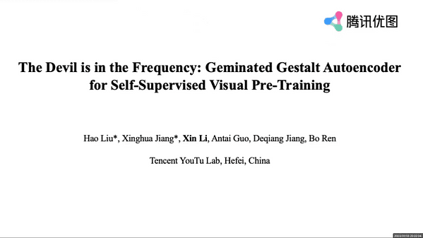 The Devil is in the Frequency: Geminated Gestalt Autoencoder for Self-Supervised Visual Pre-Training
