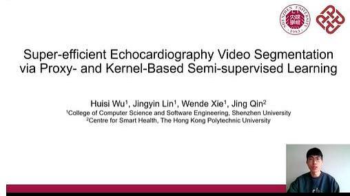 Super-efficient Echocardiography Video Segmentation via Proxy- and Kernel-Based Semi-supervised Learning