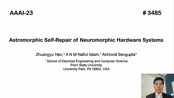 Astromorphic Self-Repair of Neuromorphic Hardware Systems