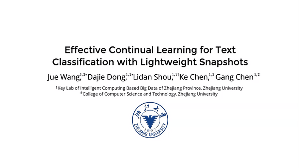 Effective Continual Learning for Text Classification with Lightweight Snapshots