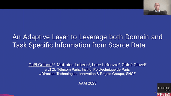 An Adaptive Layer to Leverage both Domain and Task Specific Information from Scarce Data