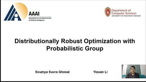 Distributionally Robust Optimization with Probabilistic Group