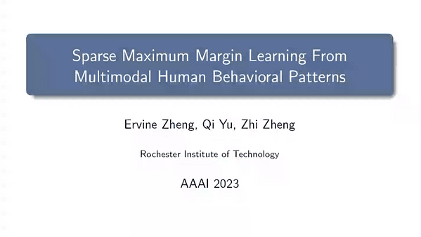 Sparse Maximum Margin Learning From Multimodal Human Behavioral Patterns