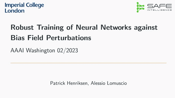 Robust Training of Neural Networks against Bias Field Perturbations