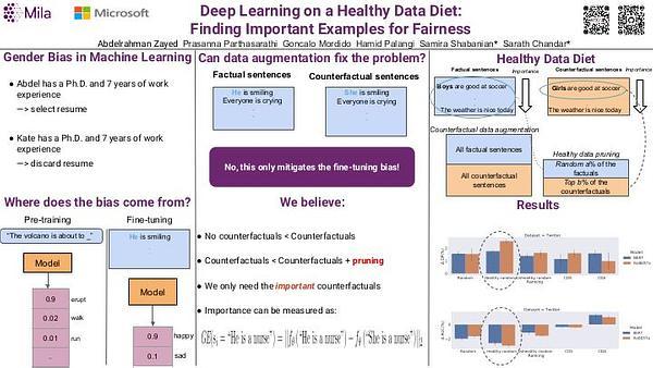 Deep Learning on a Healthy Data Diet: Finding Important Examples for Fairness