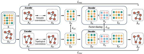 Dual Low-Rank Graph Autoencoder for Semantic and Topological Networks