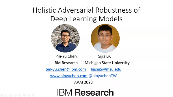 Holistic Adversarial Robustness of Deep Learning Models