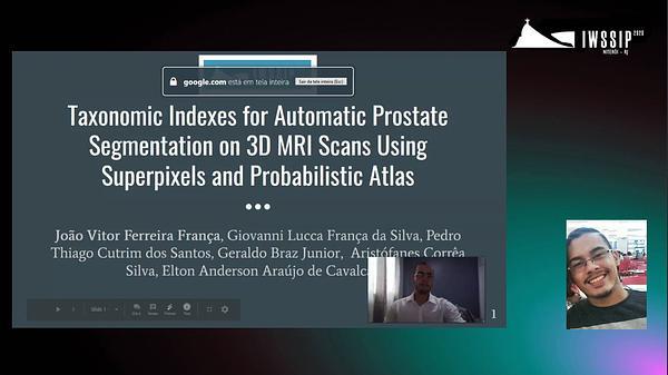 Taxonomic Indexes for Automatic Prostate Segmentation on 3D MRI Scans Using Superpixels and Probabilistic Atlas