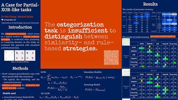 The Categorization Task is Insufficient to Distinguish between Strategies: A Case for Partial-XOR-like Tasks