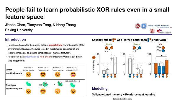 People fail to learn probabilistic XOR rules even in a small feature space