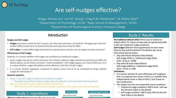 Are self-nudges effective?