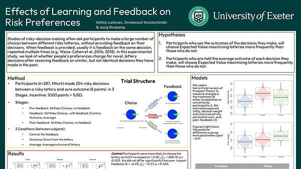 Effects of learning and feedback on risk preferences