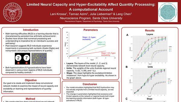 Limited Neural Capacity and Hyper-Excitability Affect Quantity Processing: A Computational Account