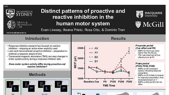 Distinct patterns of proactive and reactive inhibition in the human motor system