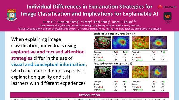 Individual differences in explanation strategies for image classification and implications for explainable AI