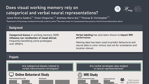 Does visual working memory rely on categorical and verbal neural representations?