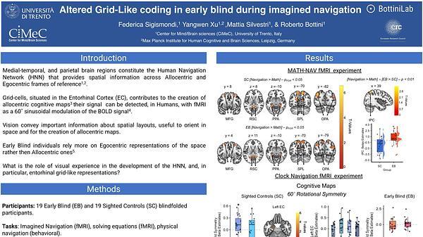 Altered grid-like coding in early blind people during imagined navigation