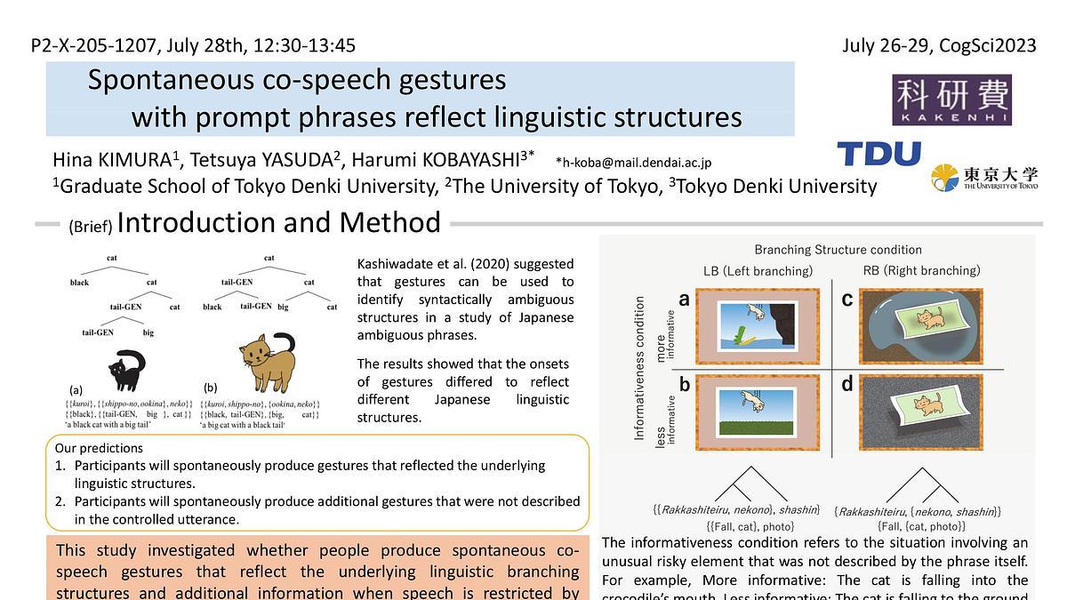 Lecture image placeholder