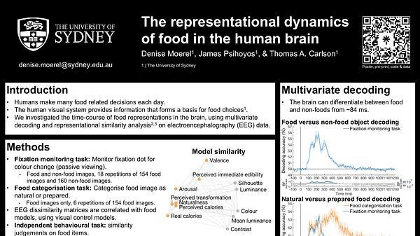 The representational dynamics of food in the human brain