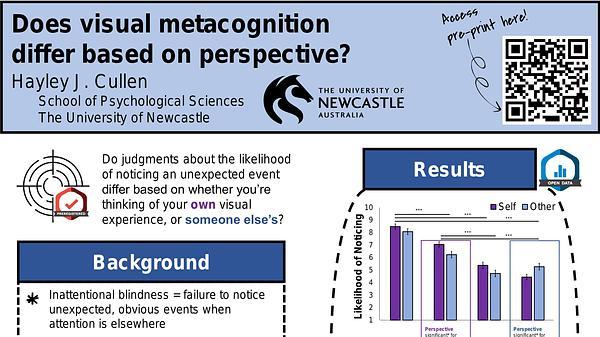 Does visual metacognition differ based on perspective?