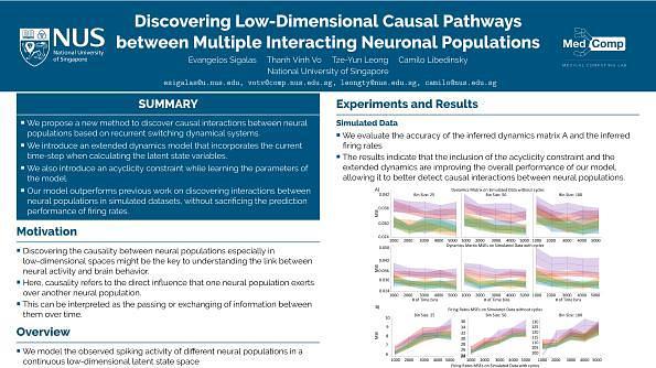 Discovering Low-Dimensional Causal Pathways between Multiple Interacting Neuronal Populations