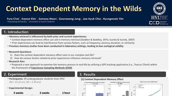 Context Dependent Memory in the Wilds