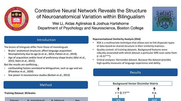 Contrastive neural network reveals the structure of neuroanatomical variation within bilingualism