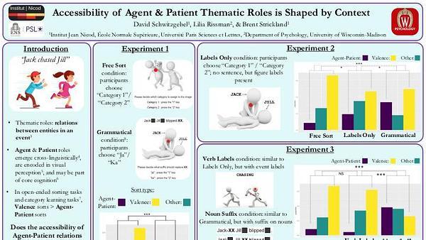 Accessibility of Agent and Patient roles is shaped by context