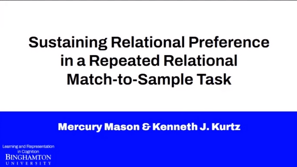 Sustaining Relational Preference in a Repeated Relational Match-to-Sample Task in the Absence of Task Support