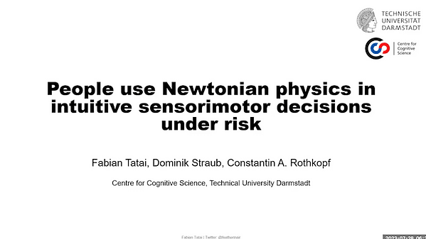 People use Newtonian physics in intuitive sensorimotor decisions under risk