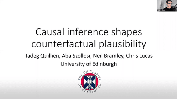 Causal inference shapes counterfactual plausibility
