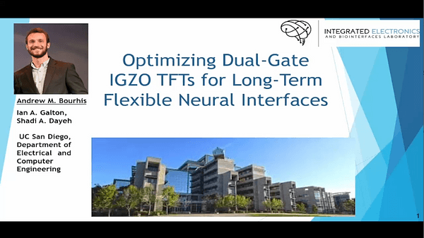 Optimizing Dual-Gate IGZO TFTs for Long-Term Flexible Neural Interfaces