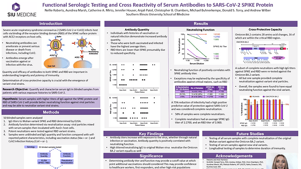 Functional Serologic Testing and Cross Reactivity of Serum Antibodies to SARS-CoV-2 SPIKE Protein