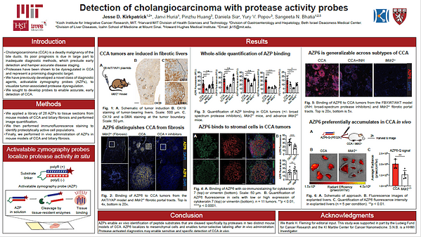 Detection of cholangiocarcinoma with protease activity probes