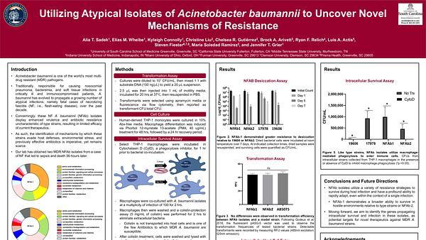 Utilizing Atypical Isolates of Acinetobacter baumannii to Uncover Novel Mechanisms of Resistance